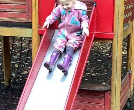IMG 1249