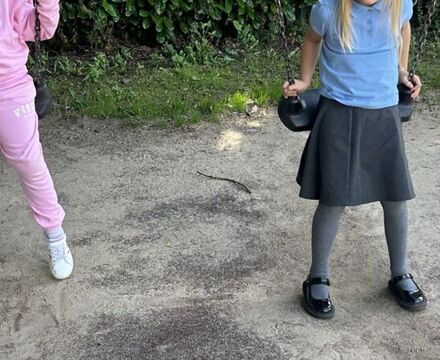 IMG 2540