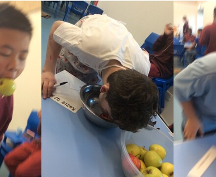 Apple Bobbing Collage