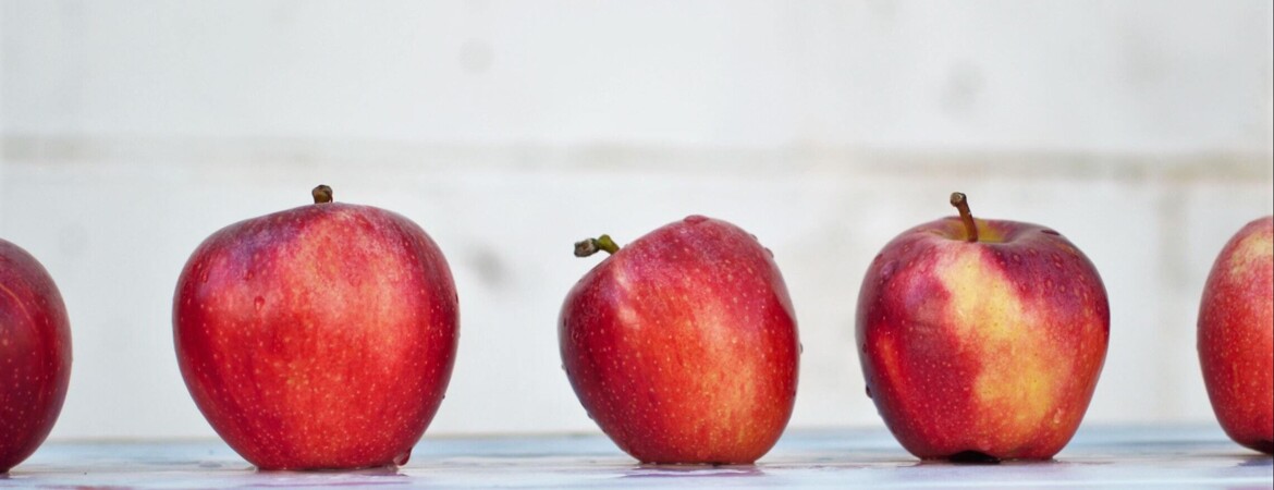 Blog Header Image