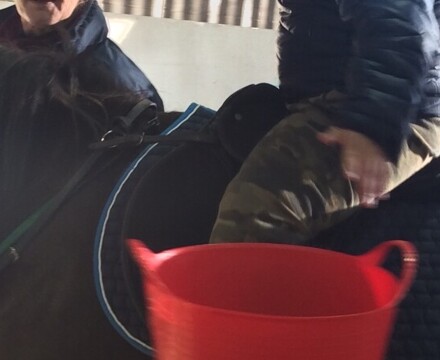 IMG 1425 (1)