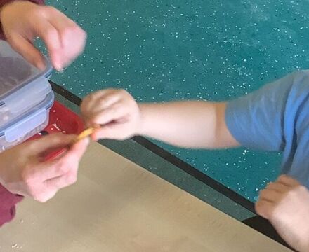 IMG 7896[1]