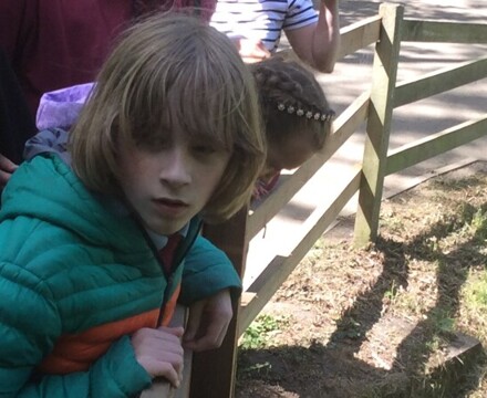 IMG 5540