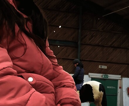 IMG 4253H