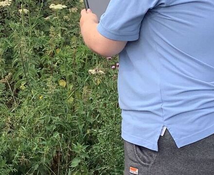 IMG 1603