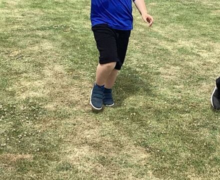 IMG 3152