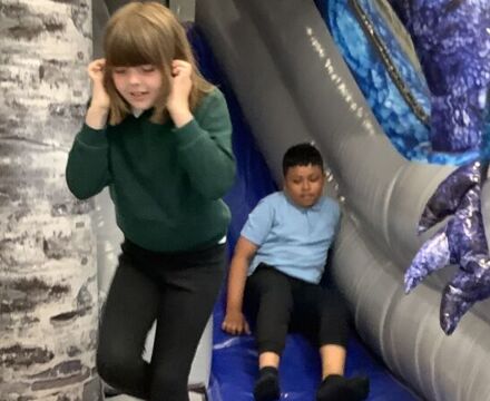 IMG 8085