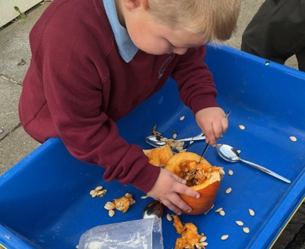 Pumpkin Lauren Burnett