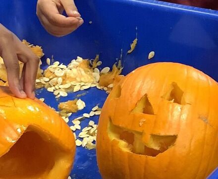 IMG 0835 Aisling Robinson