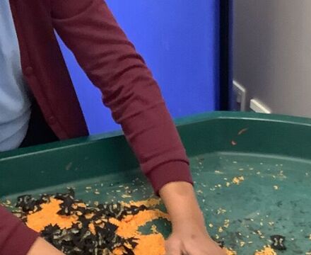 IMG 0830 Aisling Robinson