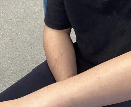 IMG 1109 Jasmine Mackintosh