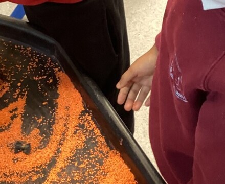 IMG 1311 Charlotte Gray