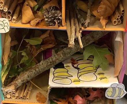 IMG 0527 Rebecca Pittman Wood