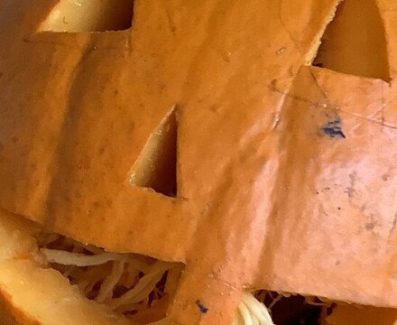 IMG 0410 Ella Gibson