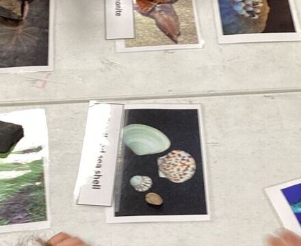 Museum5 Louise Smith