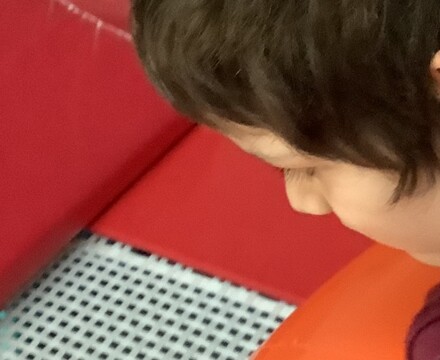 IMG 0525 Millie Forrest