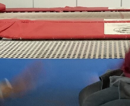 IMG 0522 Millie Forrest