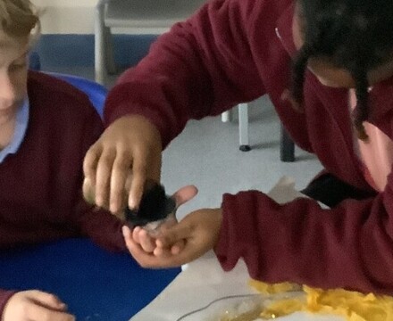 IMG 2342 Sophie Bland