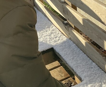 IMG 0122 Rebecca Pittman Wood