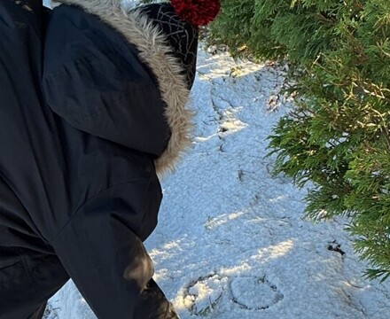 IMG 0127 Rebecca Pittman Wood