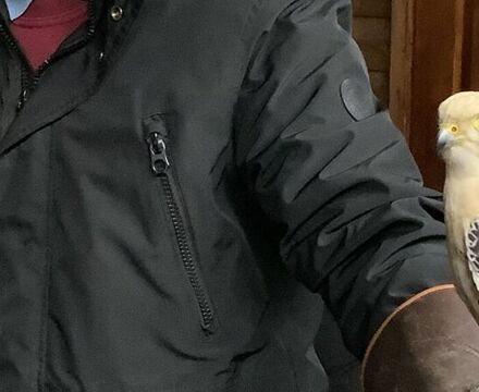 IMG 1394