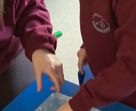 IMG 0209 Caitlin Simm