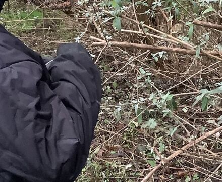 IMG 8349 Copy Caroline Alexandre