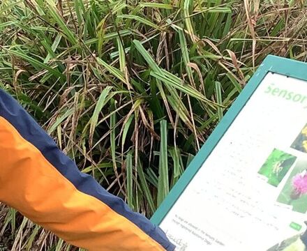 IMG 8338 Copy Caroline Alexandre