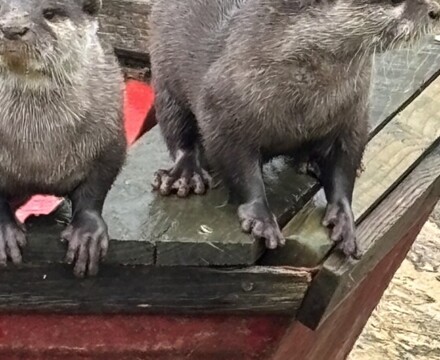 IMG 1137 Gemma Graham