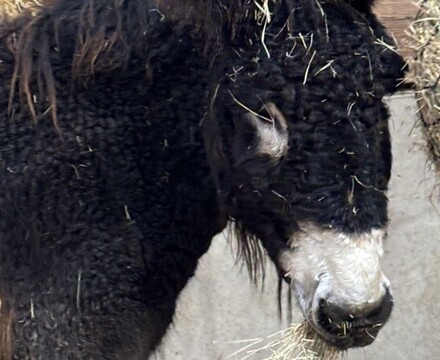 IMG 1135 Gemma Graham