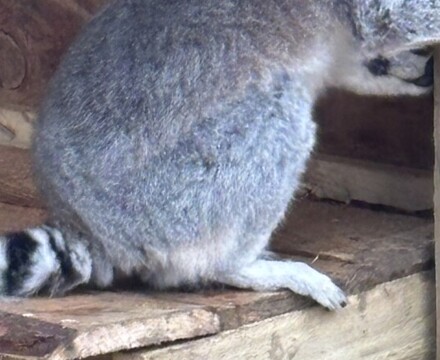 IMG 1129 Gemma Graham