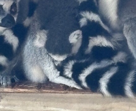 IMG 1127 Gemma Graham