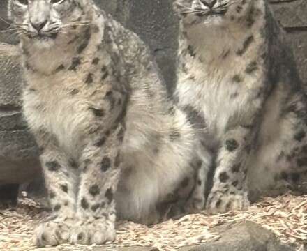 IMG 1113 Gemma Graham