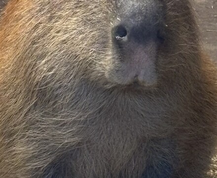 IMG 1105 Gemma Graham