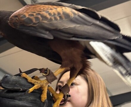 IMG 1089 Gemma Graham