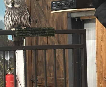 IMG 1074 Gemma Graham