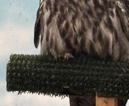 IMG 1077 Gemma Graham