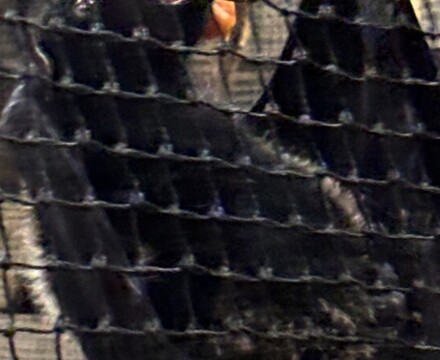 IMG 1065 Gemma Graham