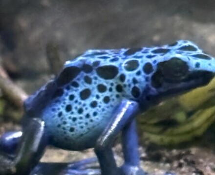 IMG 1041 Gemma Graham