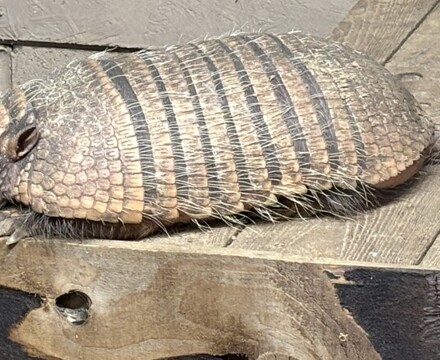 IMG 1048 Gemma Graham