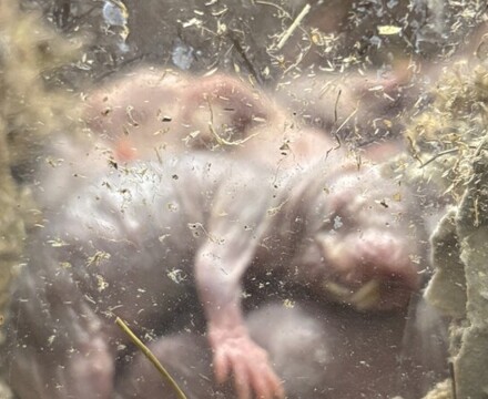 IMG 1050 Gemma Graham