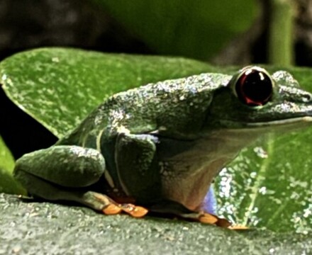 IMG 1053 Gemma Graham