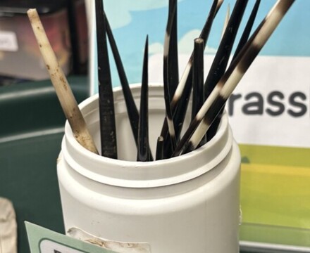 IMG 1009 Gemma Graham