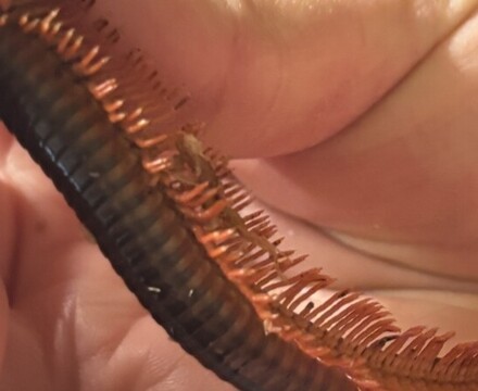 IMG 0990 Gemma Graham