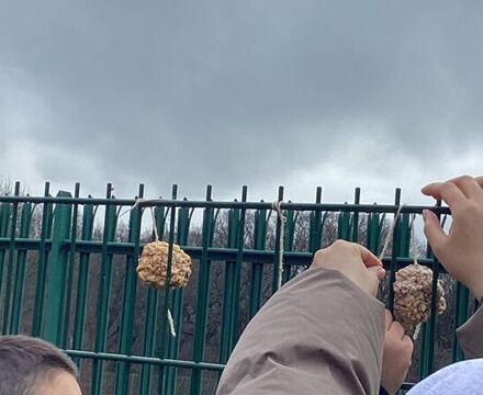 IMG 3655 Claire Widmer