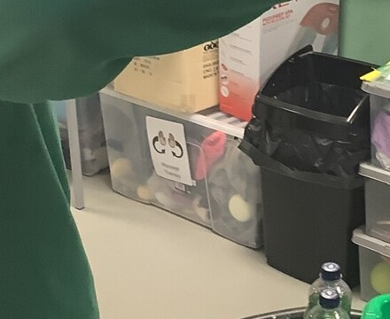 IMG 2580 Stacey Walton