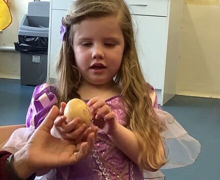 IMG 0985 (1)