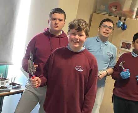 IMG 2571