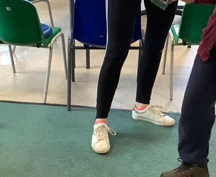 IMG 1515