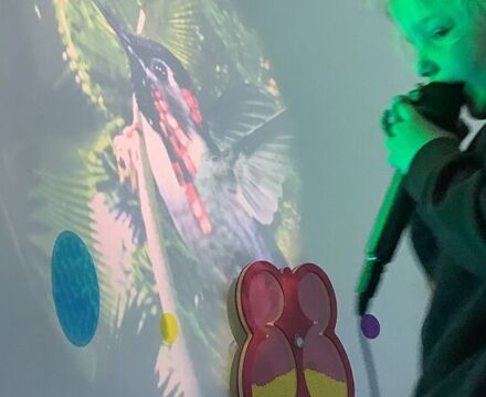 IMG 1687